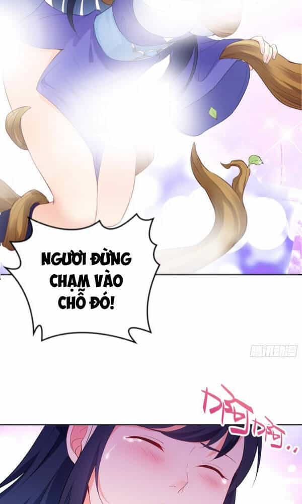 Người Ở Rể Bị Ép Thành Phản Diện - Chương 94 - ảnh 8