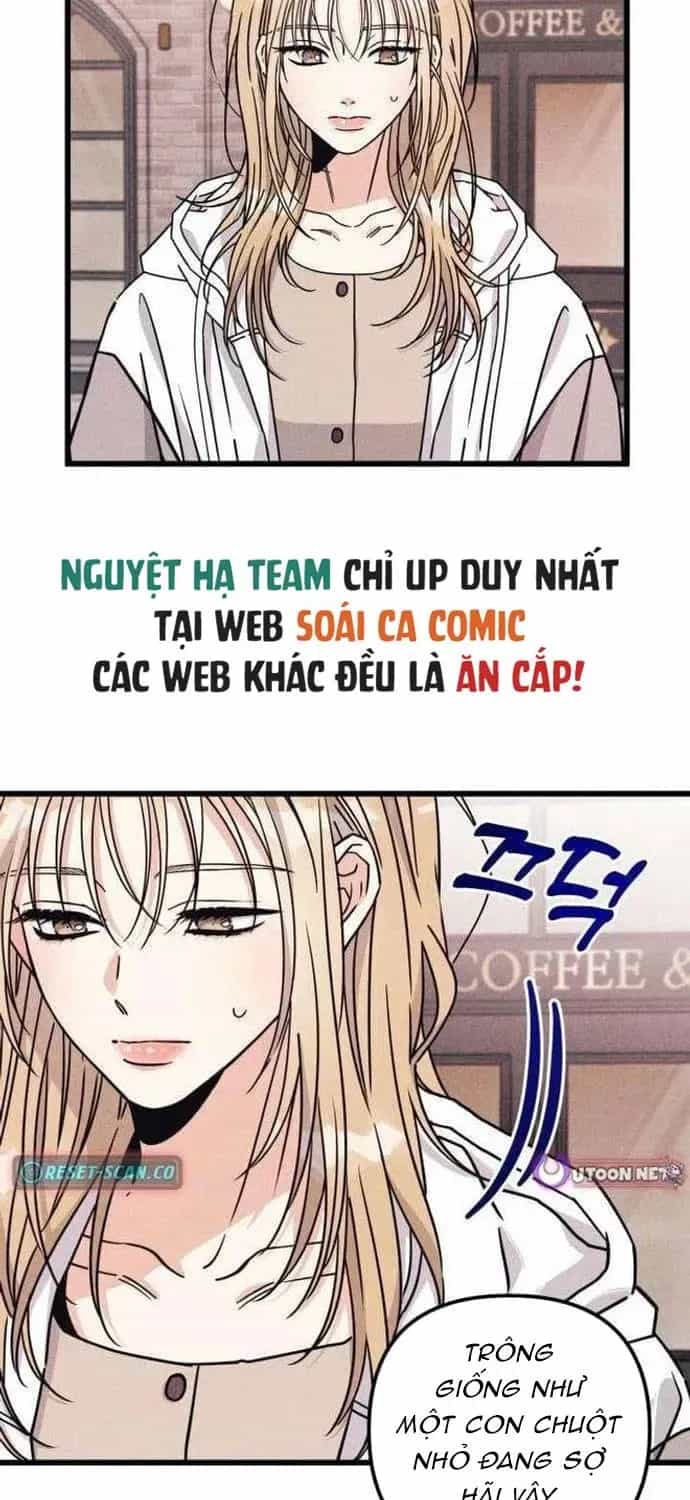 Người Tình Của Con Nợ - Chương 7 - ảnh 11