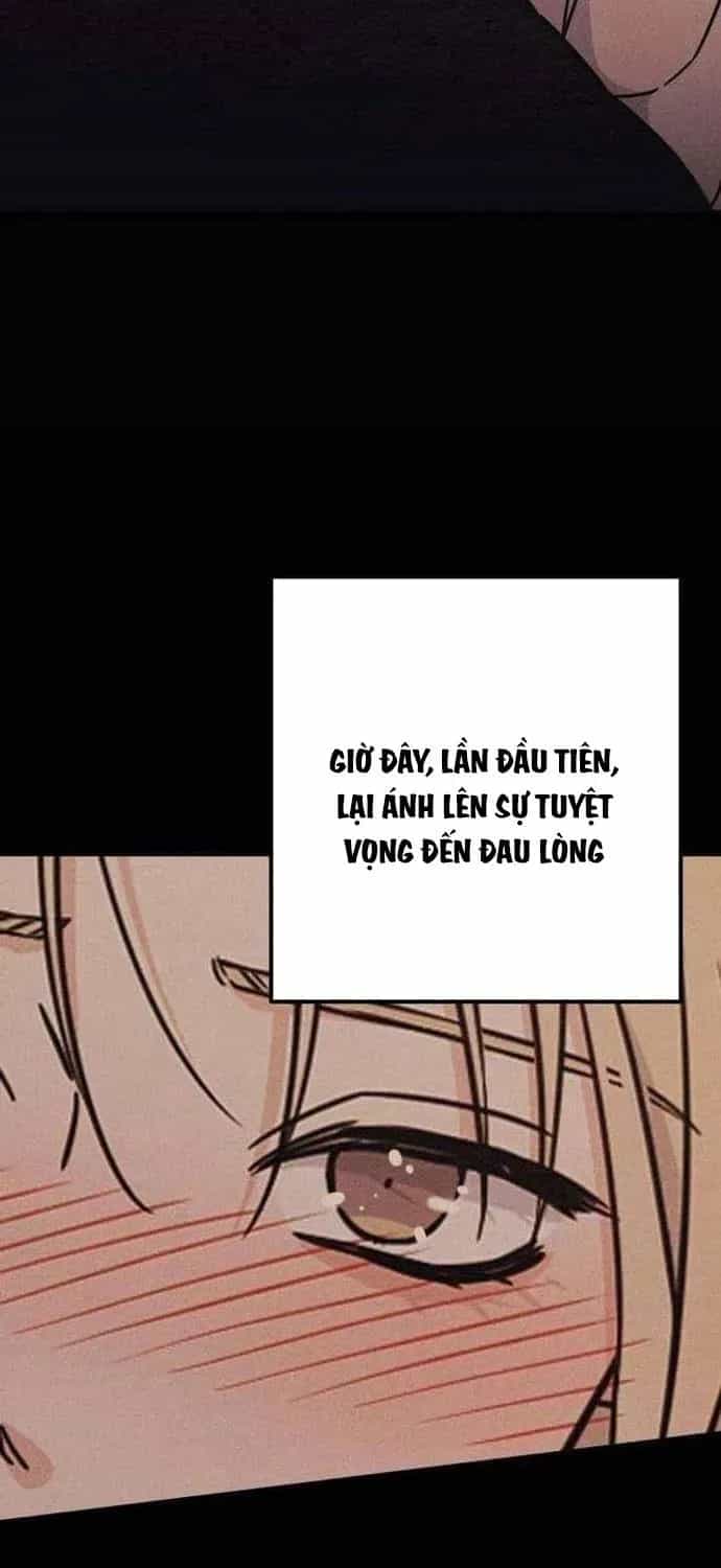 Người Tình Của Con Nợ - Chương 7 - ảnh 7