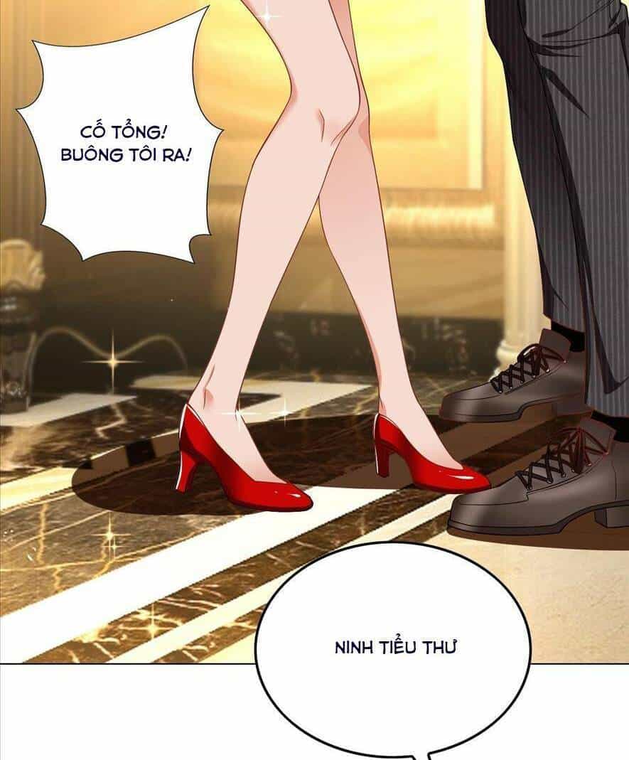 Người Tình Hợp Đồng Của Tổng Tài - Chương 1 - ảnh 35