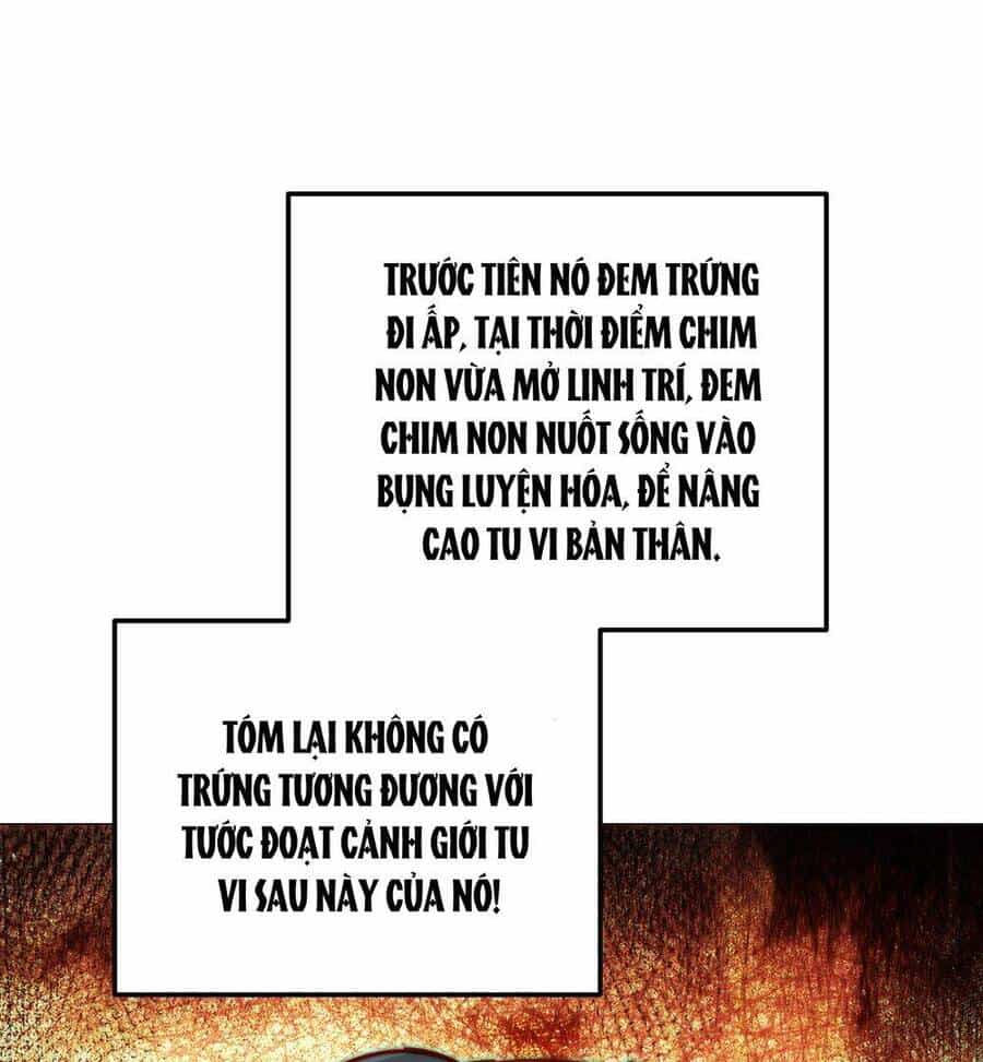 Người Trên Vạn Người - Chương 250 - ảnh 20