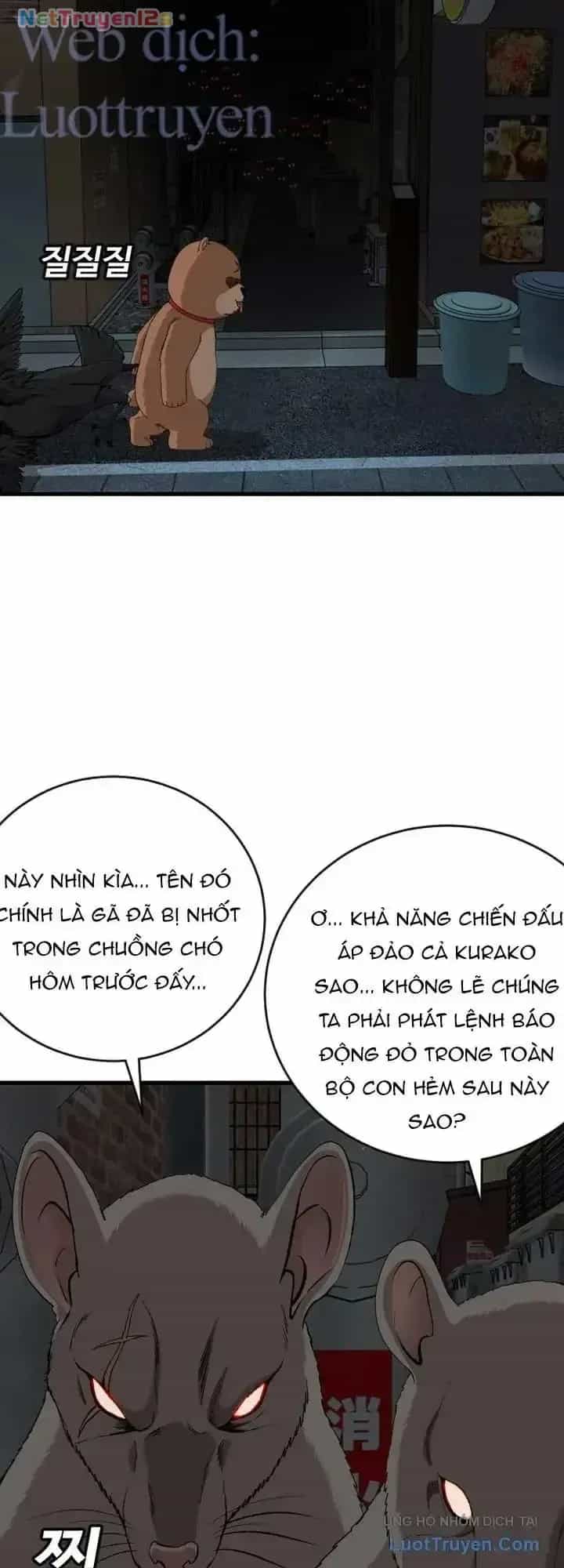 Người Xấu - Chương 312 - ảnh 74