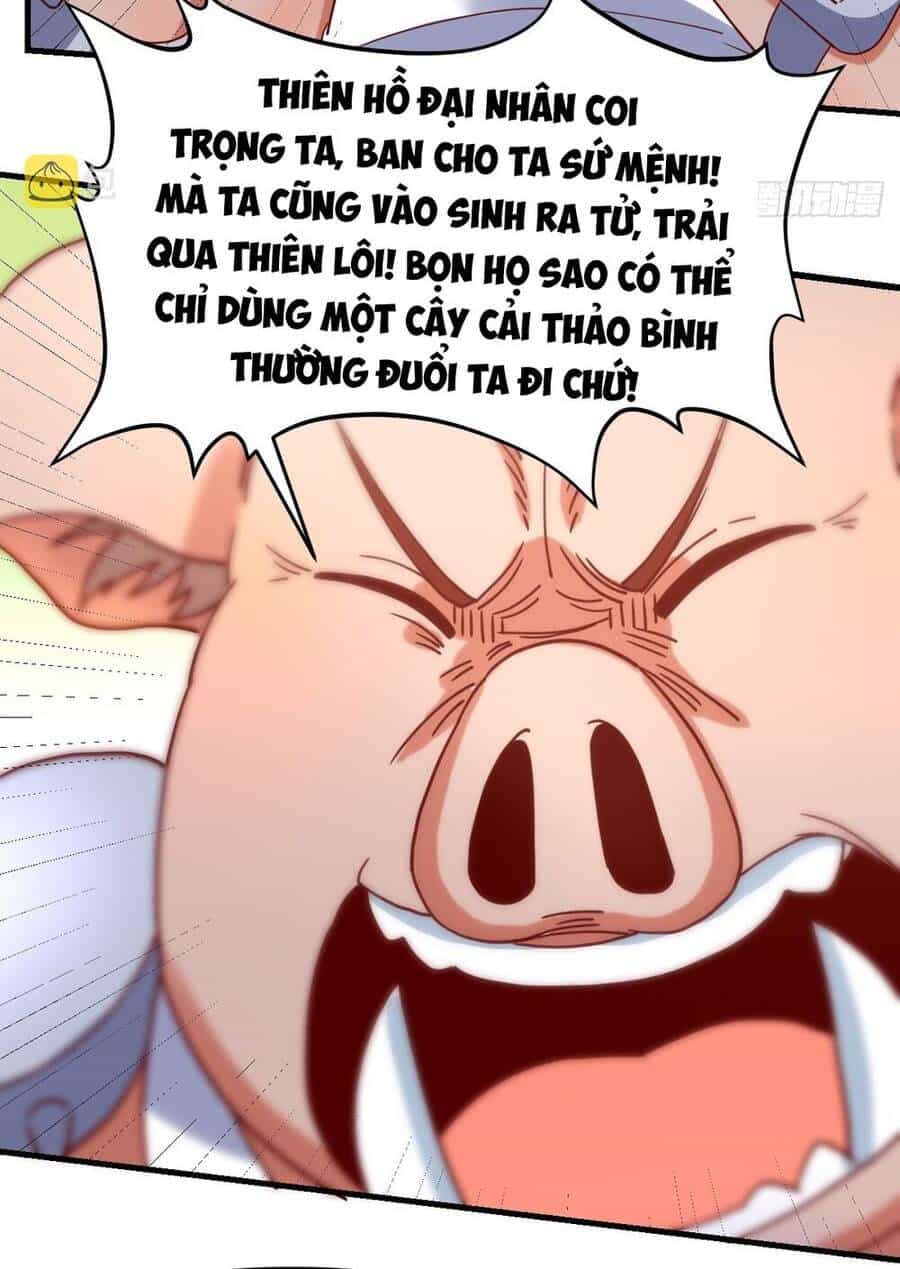 Nguyên Lai Ta Là Tu Tiên Đại Lão - Chương 111 - ảnh 49