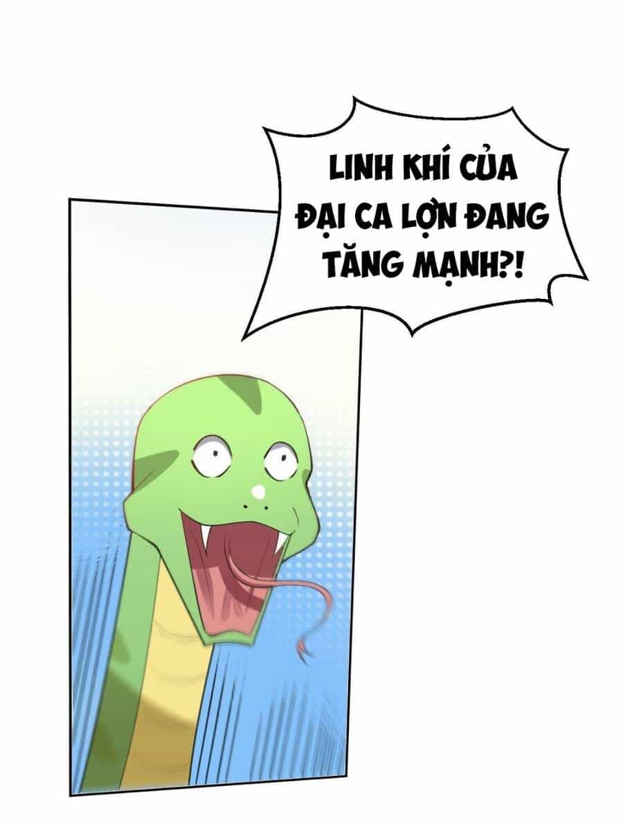 Nguyên Lai Ta Là Tu Tiên Đại Lão - Chương 112 - ảnh 5