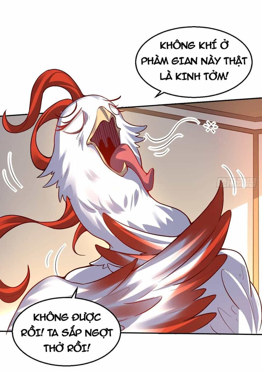 Nguyên Lai Ta Là Tu Tiên Đại Lão - Chương 124 - ảnh 20