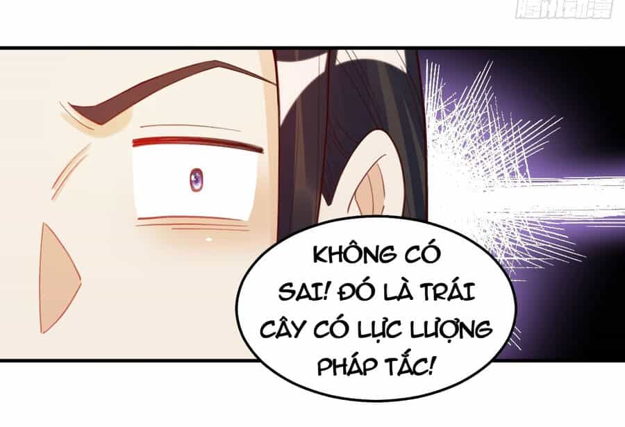 Nguyên Lai Ta Là Tu Tiên Đại Lão - Chương 205 - ảnh 37