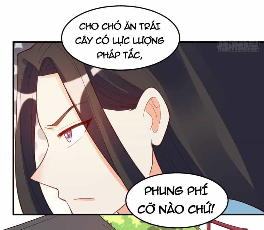 Nguyên Lai Ta Là Tu Tiên Đại Lão - Chương 205 - ảnh 49