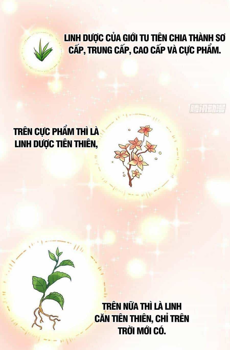 Nguyên Lai Ta Là Tu Tiên Đại Lão - Chương 23 - ảnh 26