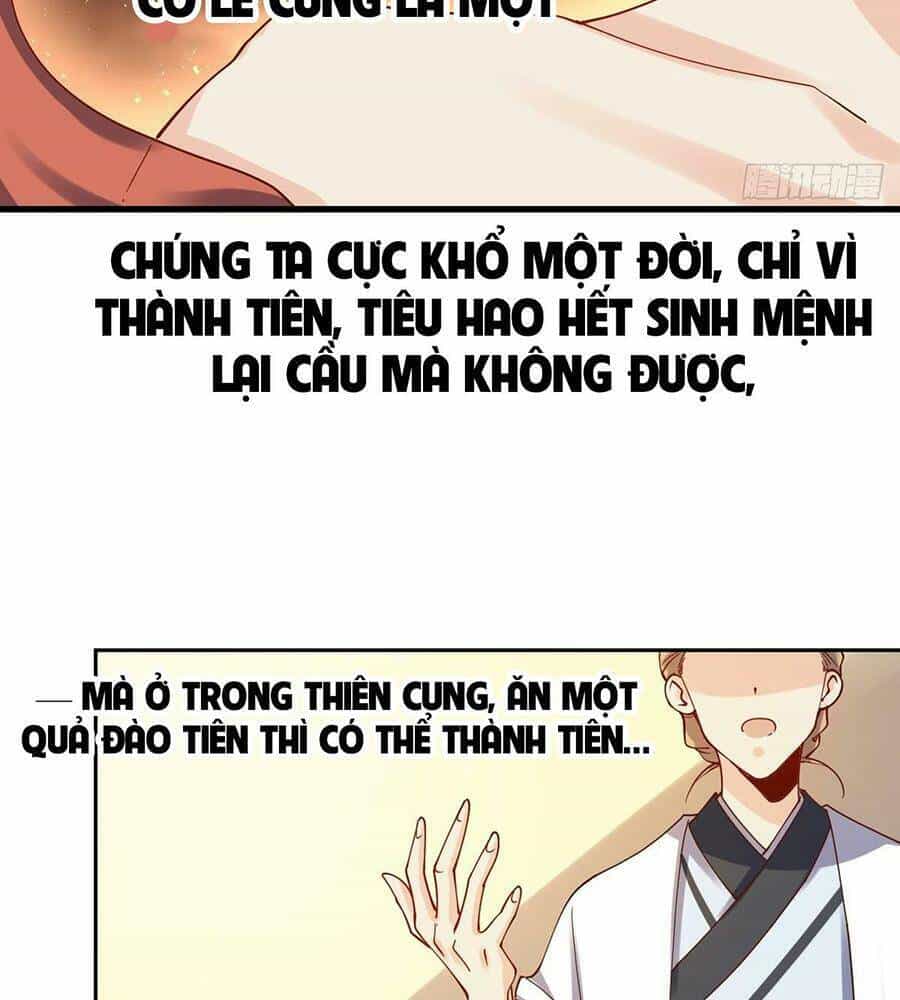 Nguyên Lai Ta Là Tu Tiên Đại Lão - Chương 27 - ảnh 27