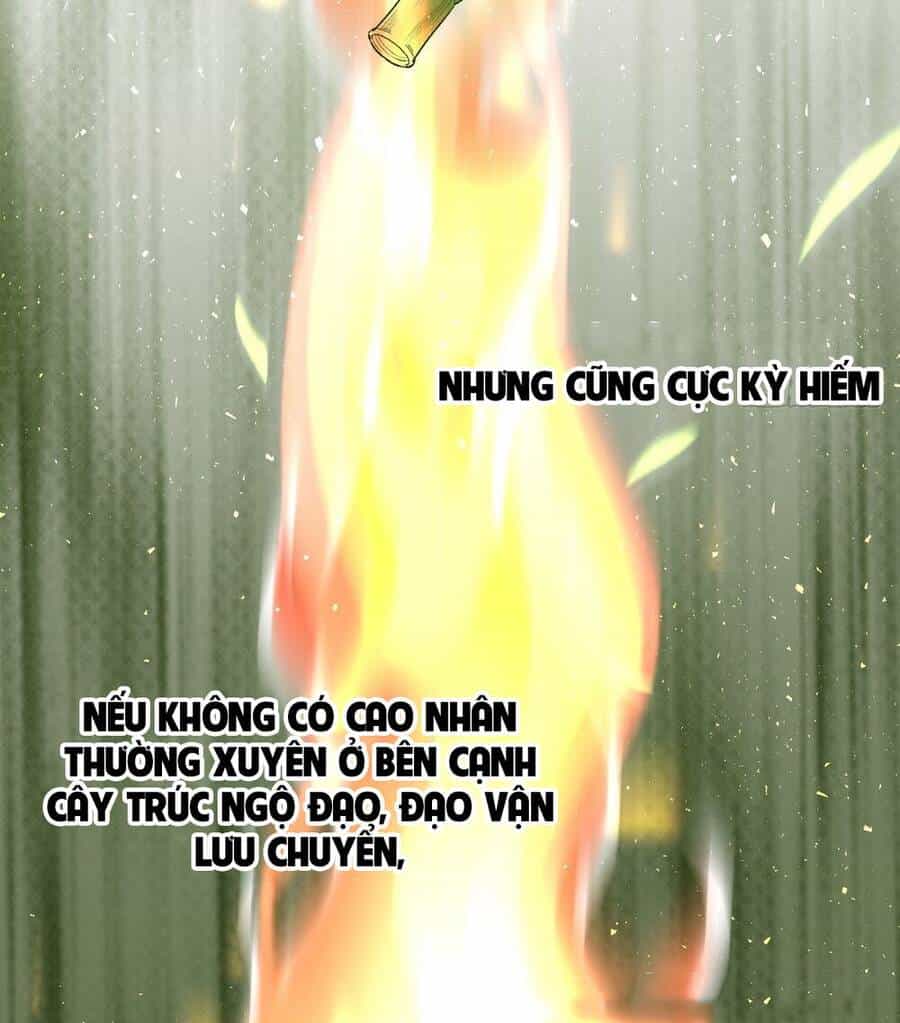 Nguyên Lai Ta Là Tu Tiên Đại Lão - Chương 30 - ảnh 17