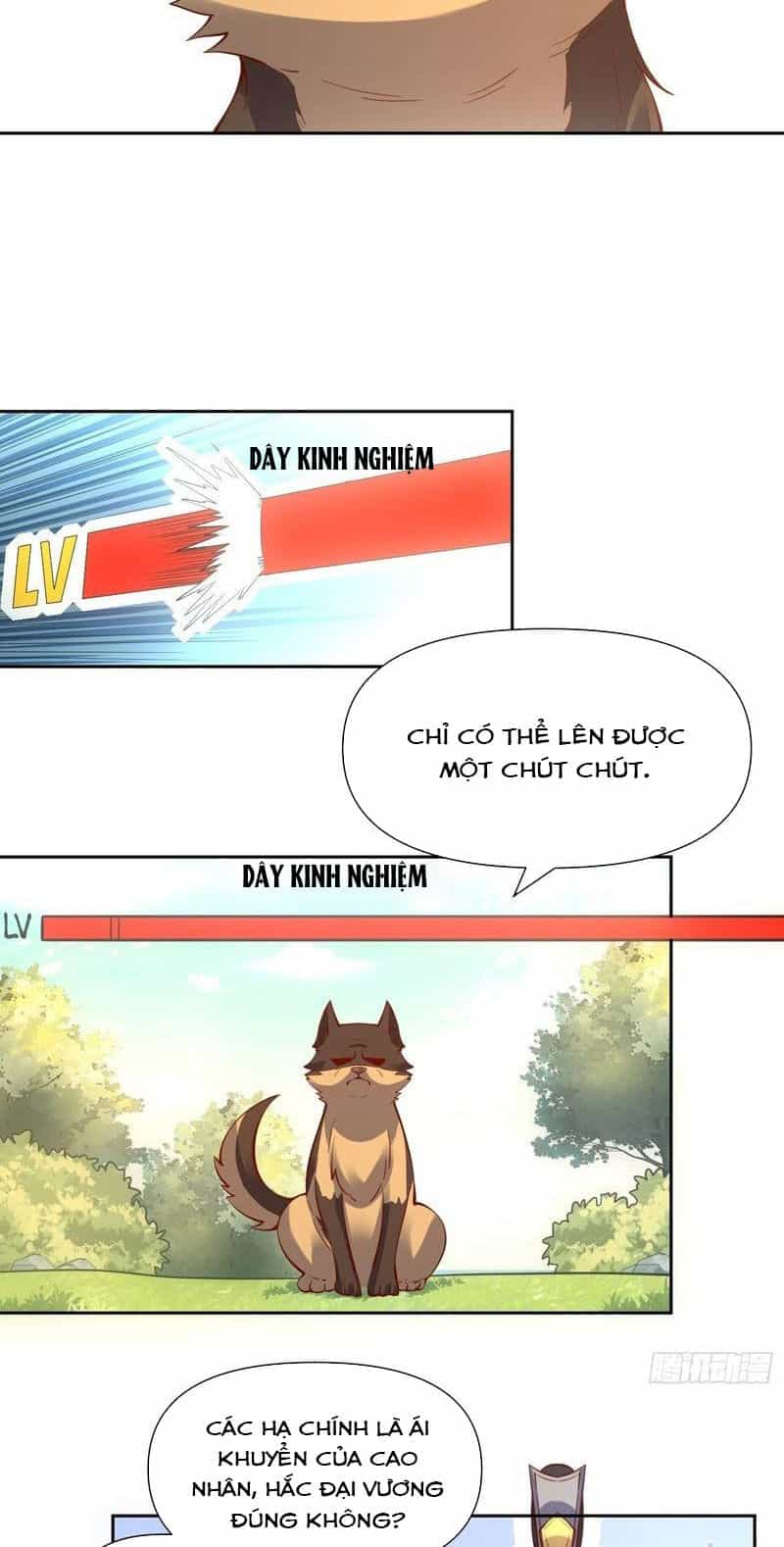 Nguyên Lai Ta Là Tu Tiên Đại Lão - Chương 384 - ảnh 21