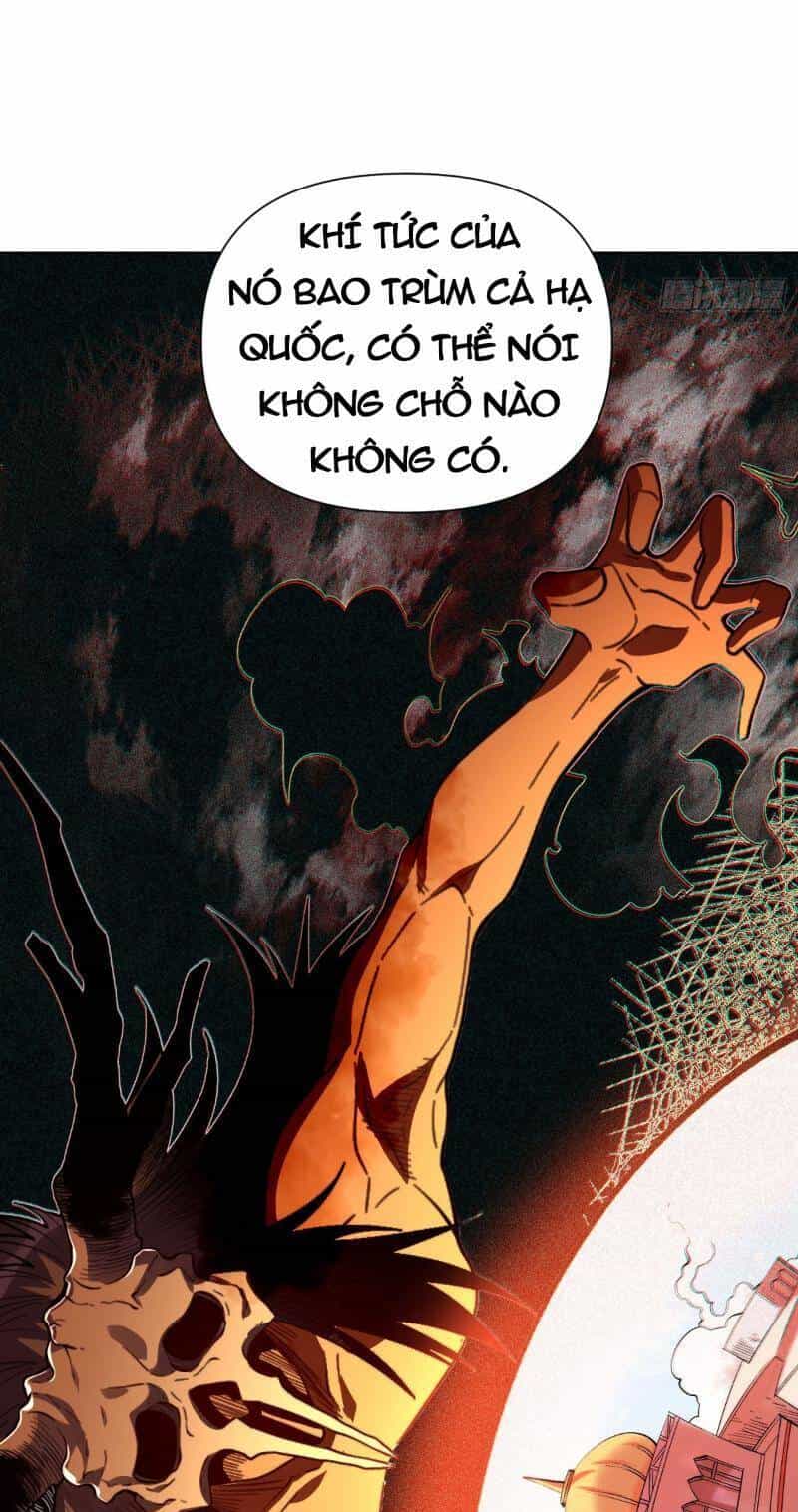 Nguyên Lai Ta Là Tu Tiên Đại Lão - Chương 444 - ảnh 45
