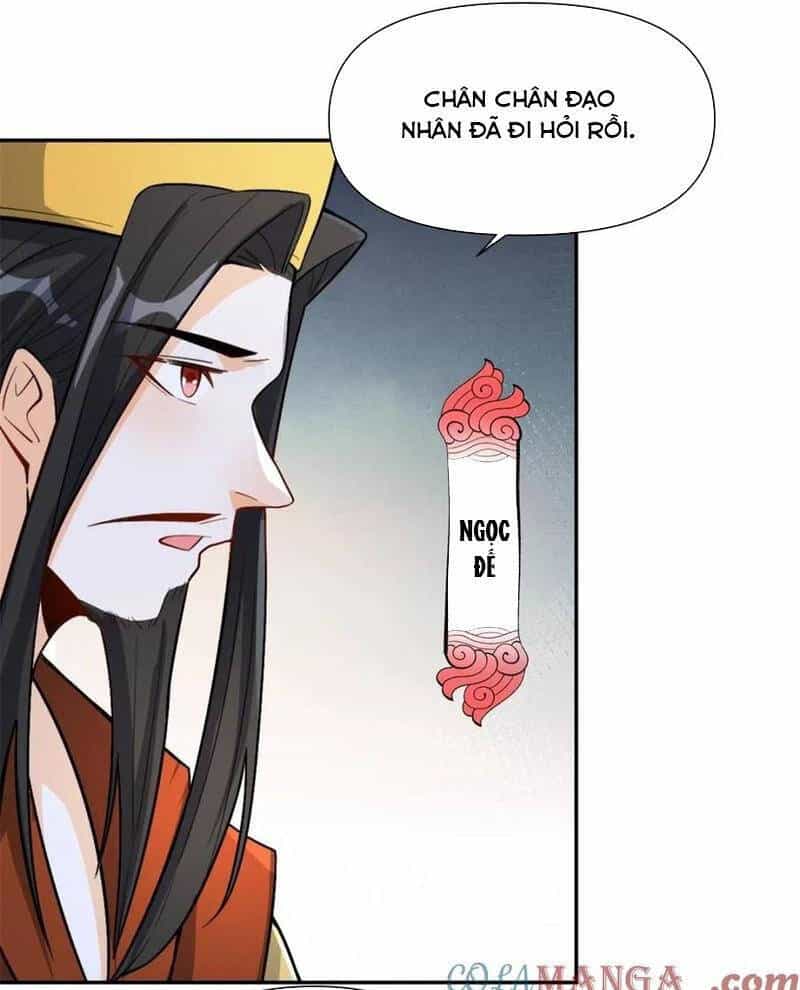 Nguyên Lai Ta Là Tu Tiên Đại Lão - Chương 510 - ảnh 5