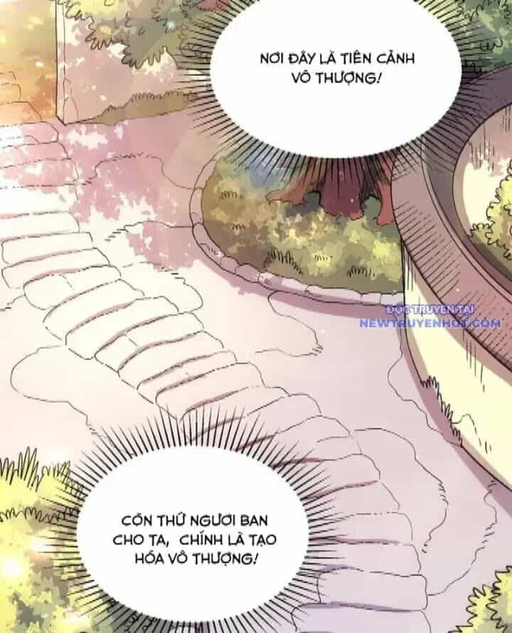 Nguyên Lai Ta Là Tu Tiên Đại Lão - Chương 531 - ảnh 48