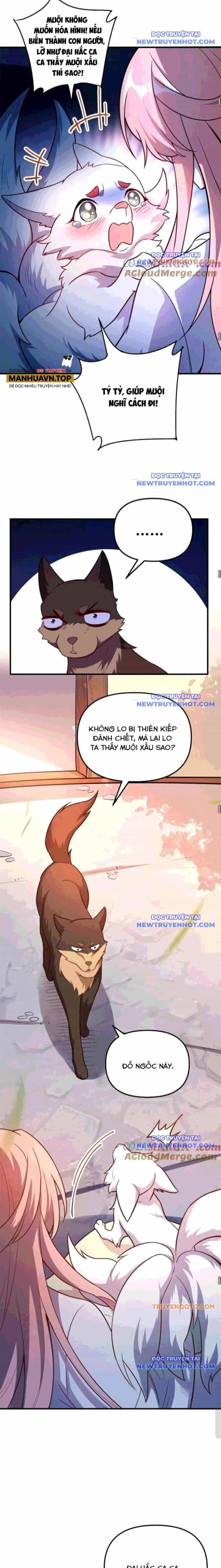 Nguyên Lai Ta Là Tu Tiên Đại Lão - Chương 541 - ảnh 14