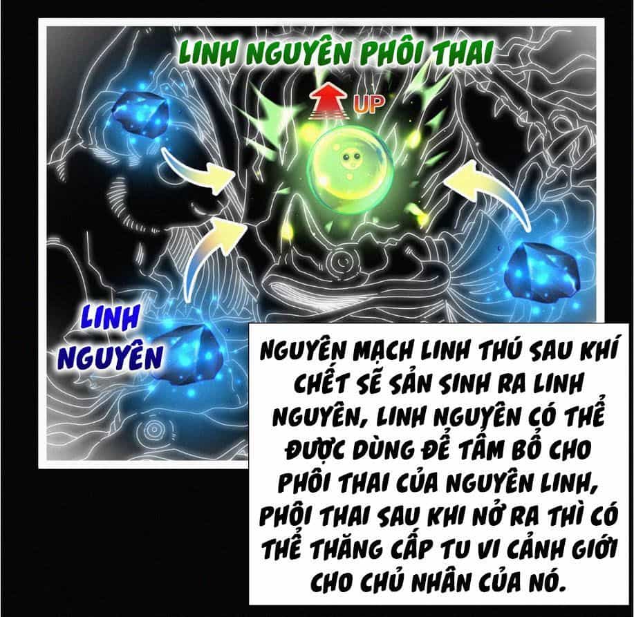 Nguyên Linh Chúa Tể - Chương 8 - ảnh 25
