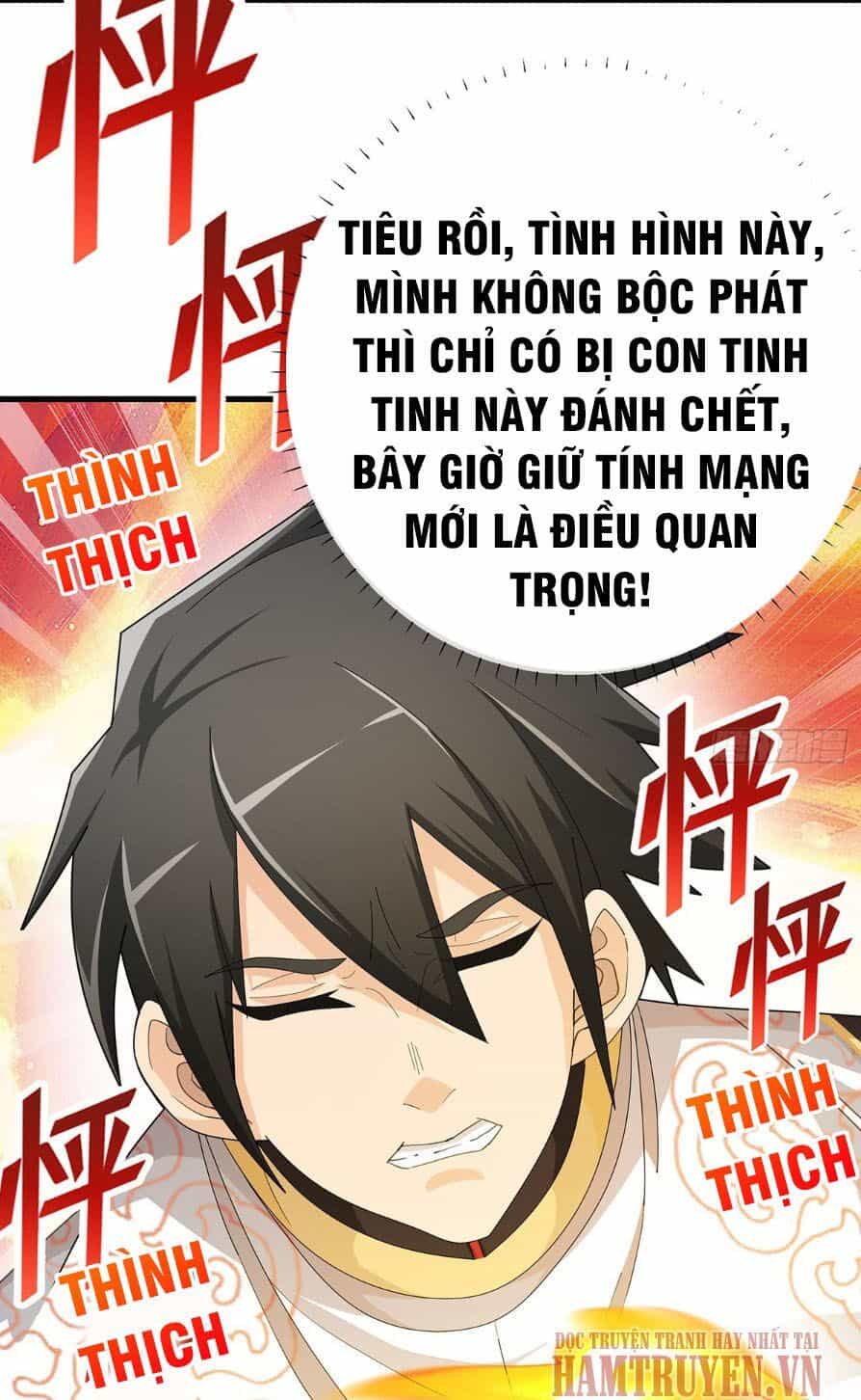 Nguyên Linh Chúa Tể - Chương 13 - ảnh 5