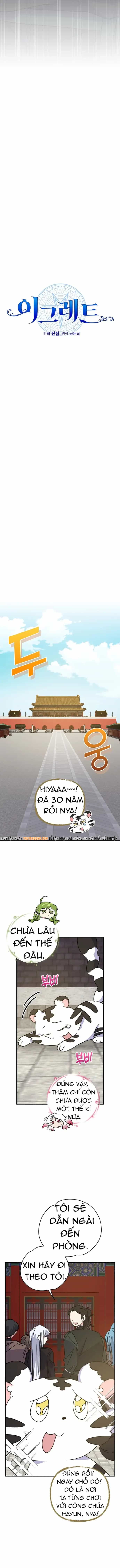 Nhà Hiền Triết Yigret - Chương 104 - ảnh 4