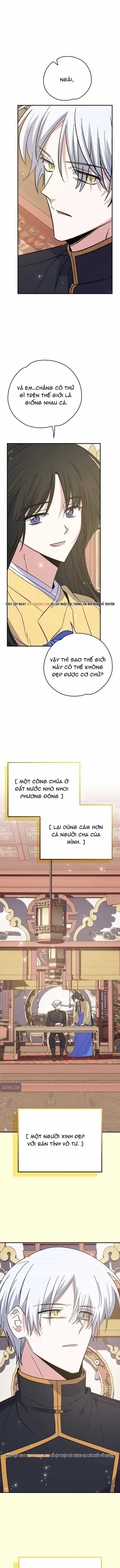 Nhà Hiền Triết Yigret - Chương 127 - ảnh 11