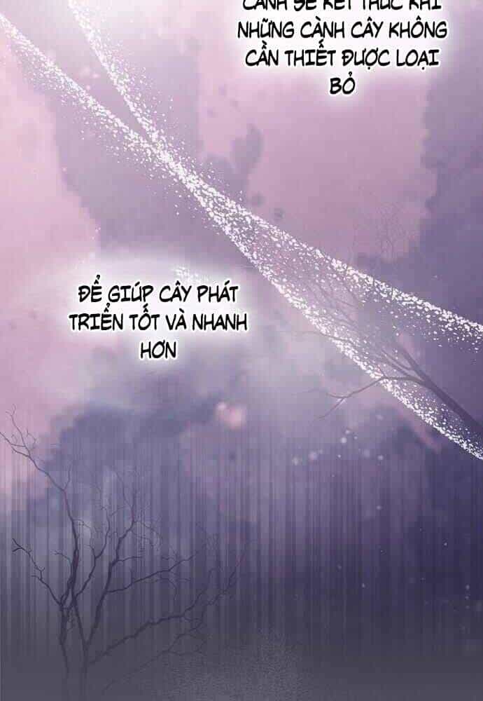 Nhà Hiền Triết Yigret - Chương 22 - ảnh 20