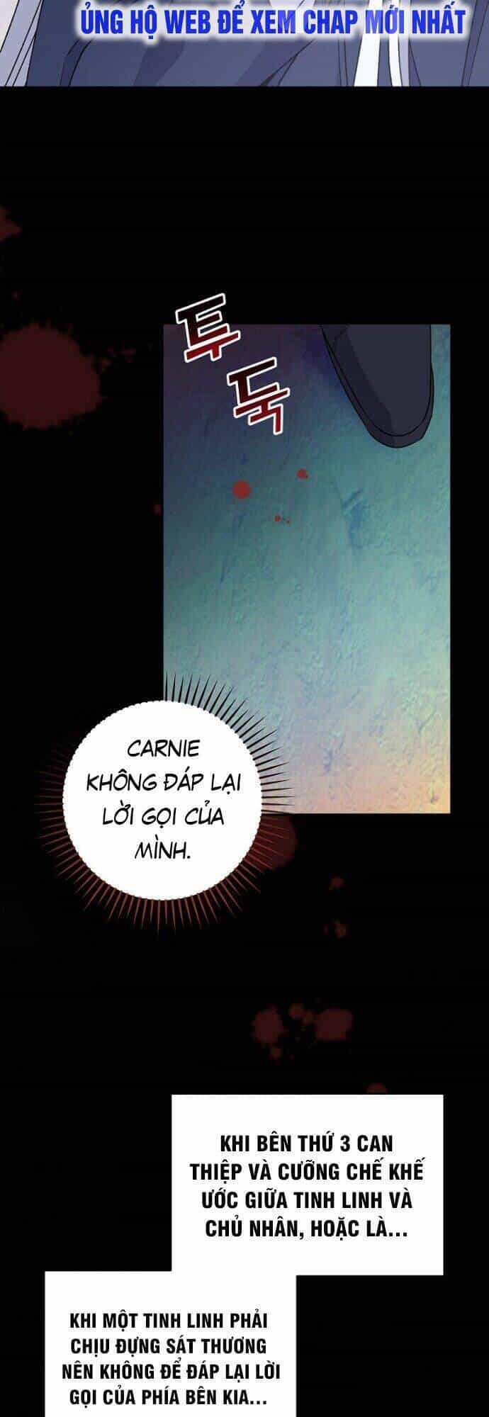 Nhà Hiền Triết Yigret - Chương 36 - ảnh 65