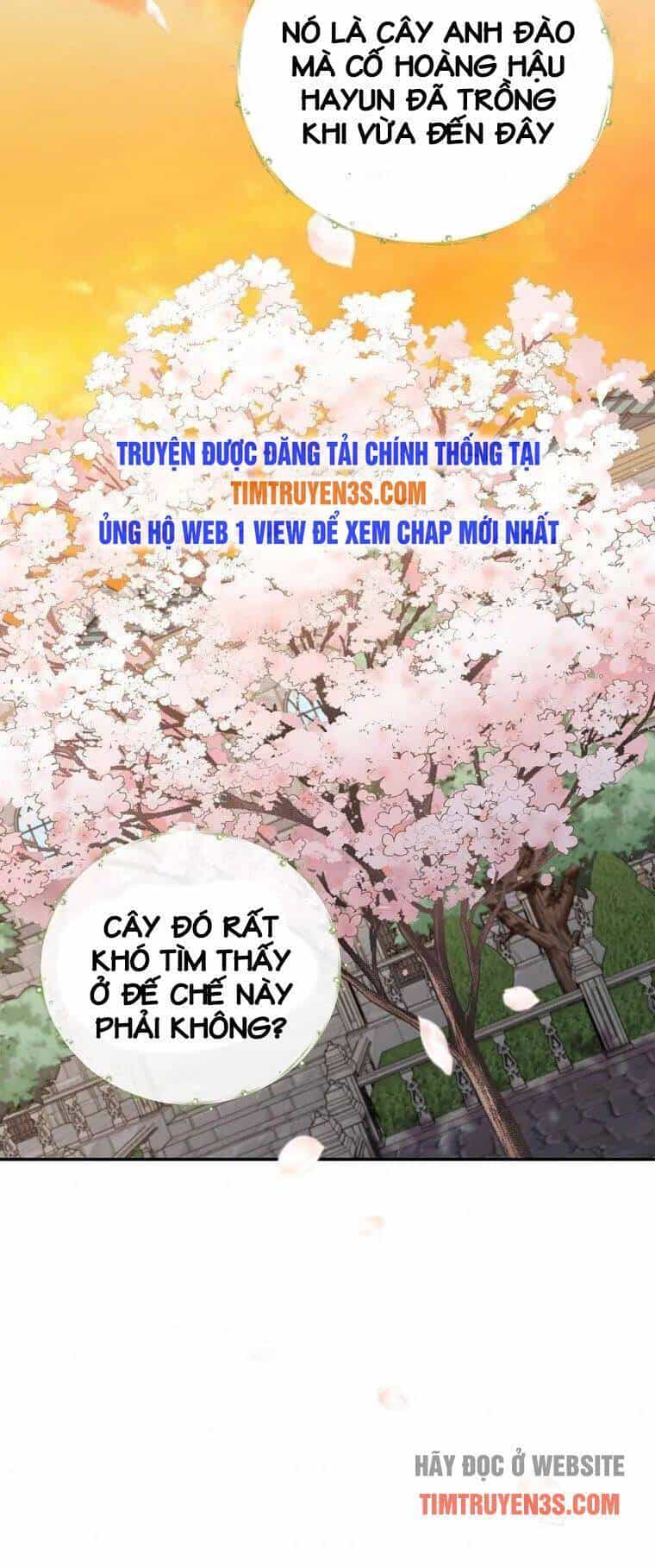 Nhà Hiền Triết Yigret - Chương 41 - ảnh 50