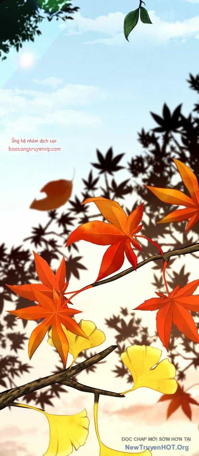 Nhà Vô Địch Kalli - Chương 108 - ảnh 94