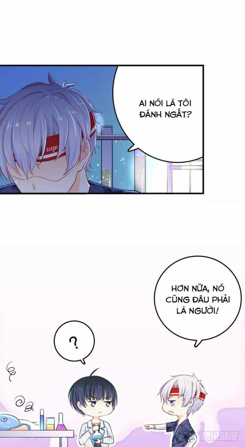 Nhân Ngư Học Trưởng, Đừng Ôm Ta! - Chương 2 - ảnh 17