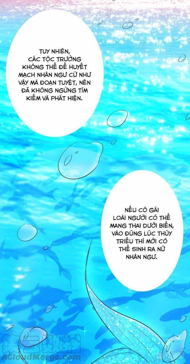 Nhân Ngư Học Trưởng, Đừng Ôm Ta! - Chương 2 - ảnh 38
