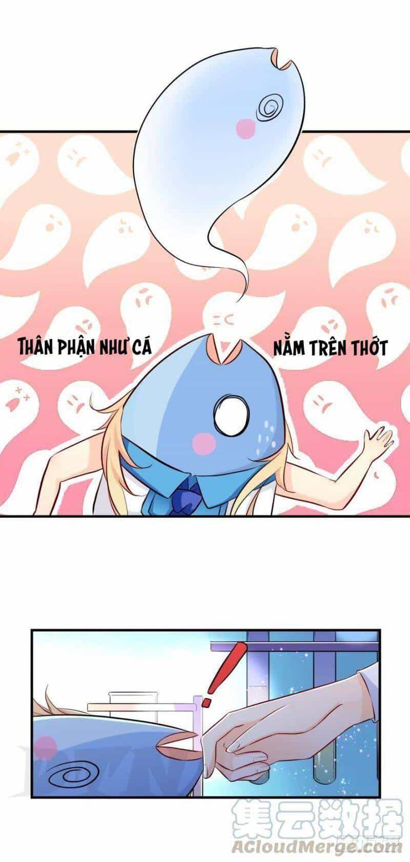 Nhân Ngư Học Trưởng, Đừng Ôm Ta! - Chương 3 - ảnh 10