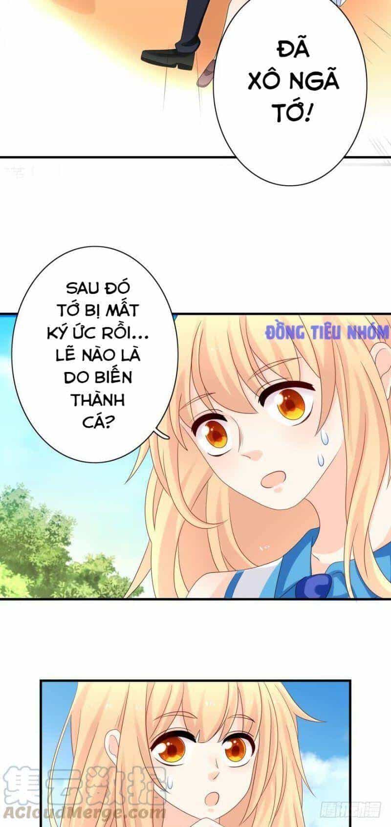 Nhân Ngư Học Trưởng, Đừng Ôm Ta! - Chương 36 - ảnh 30