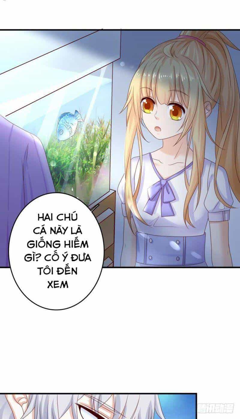 Nhân Ngư Học Trưởng, Đừng Ôm Ta! - Chương 49 - ảnh 20