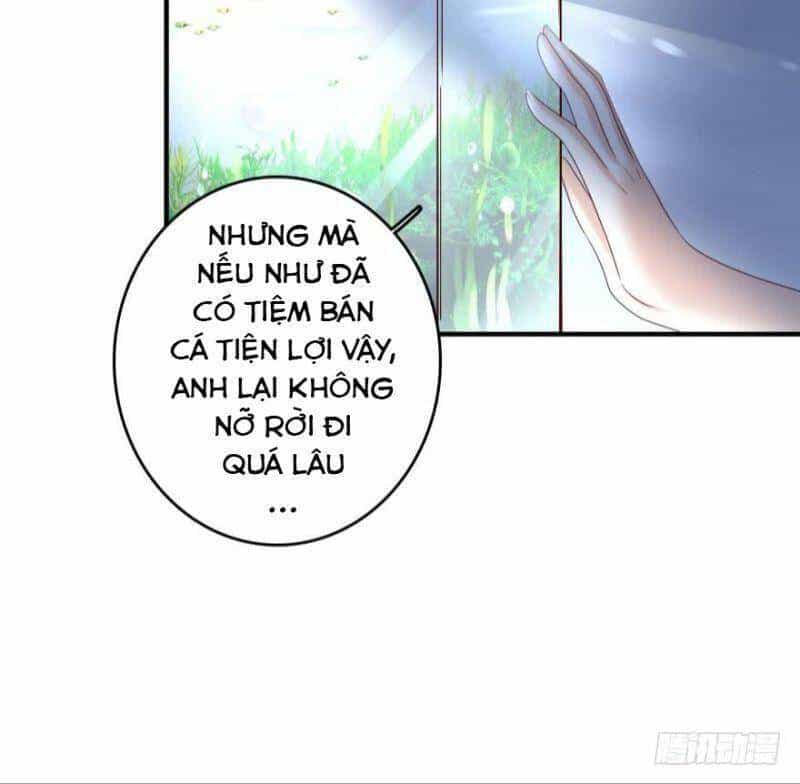 Nhân Ngư Học Trưởng, Đừng Ôm Ta! - Chương 49 - ảnh 23