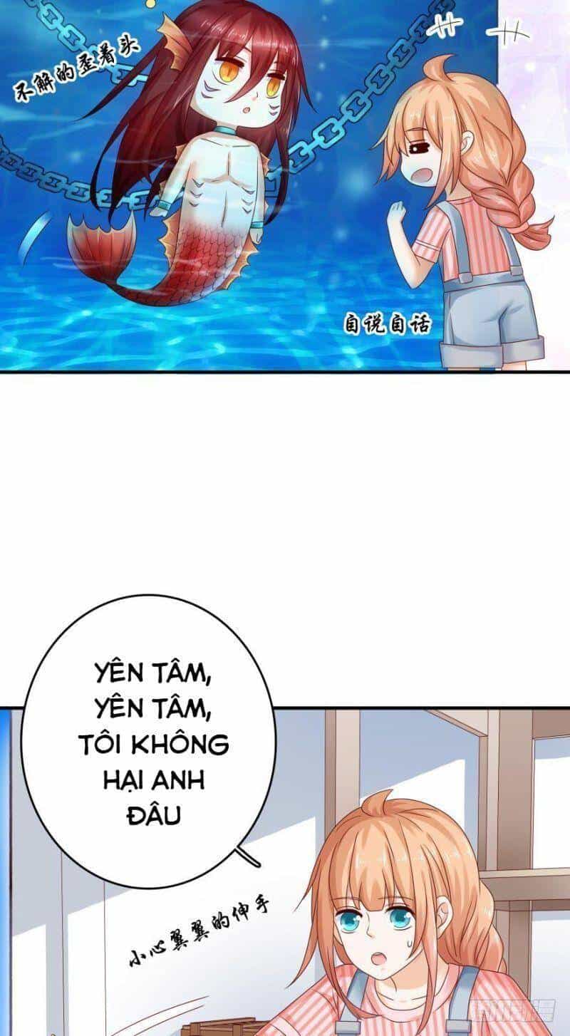 Nhân Ngư Học Trưởng, Đừng Ôm Ta! - Chương 54 - ảnh 11