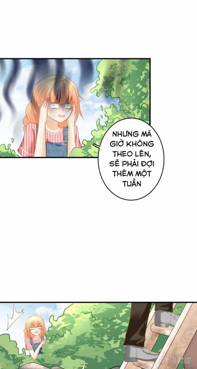 Nhân Ngư Học Trưởng, Đừng Ôm Ta! - Chương 64 - ảnh 32