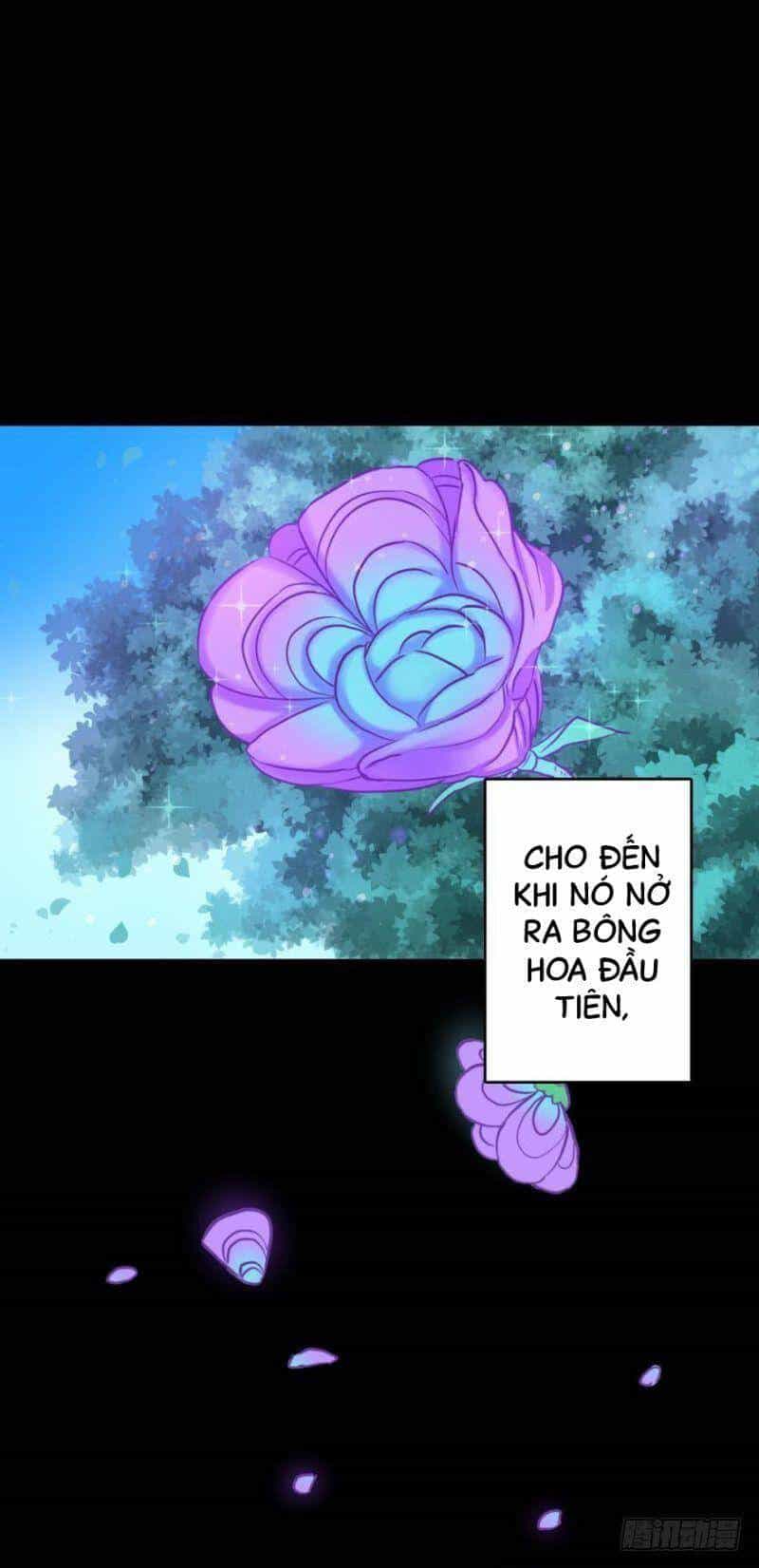 Nhân Ngư Học Trưởng, Đừng Ôm Ta! - Chương 70 - ảnh 19
