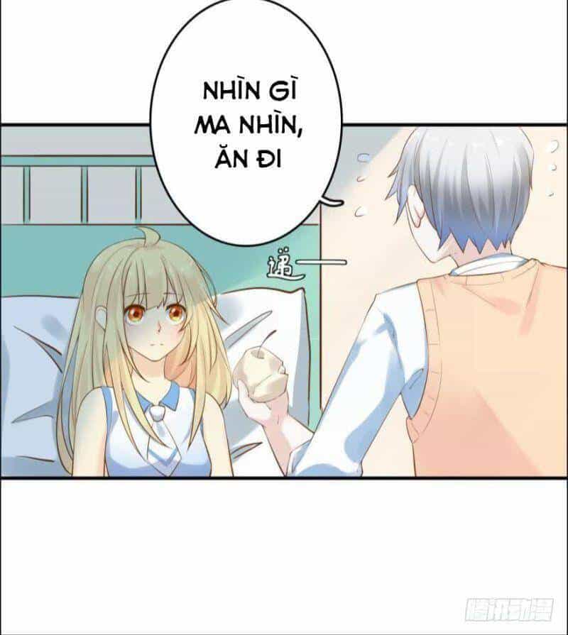 Nhân Ngư Học Trưởng, Đừng Ôm Ta! - Chương 80 - ảnh 16