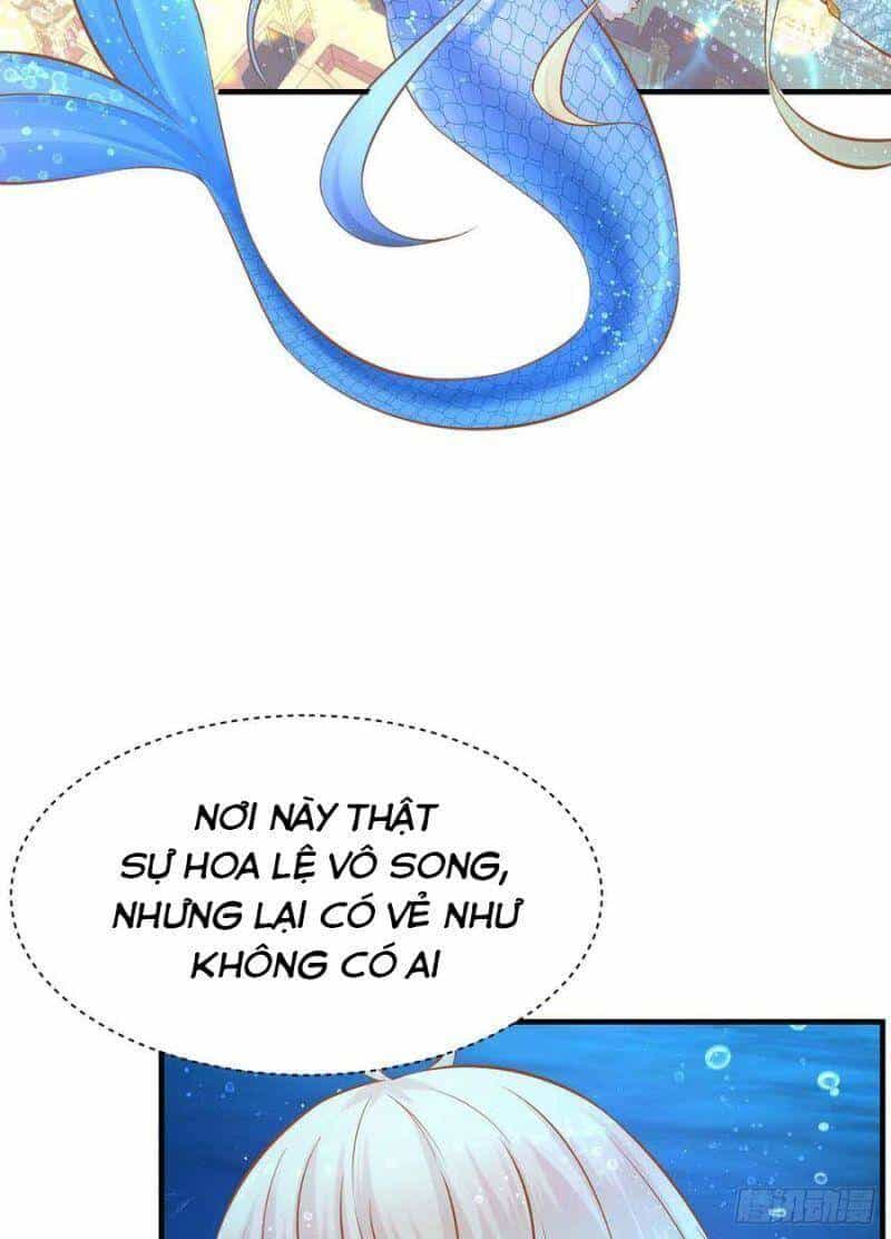 Nhân Ngư Học Trưởng, Đừng Ôm Ta! - Chương 85 - ảnh 3