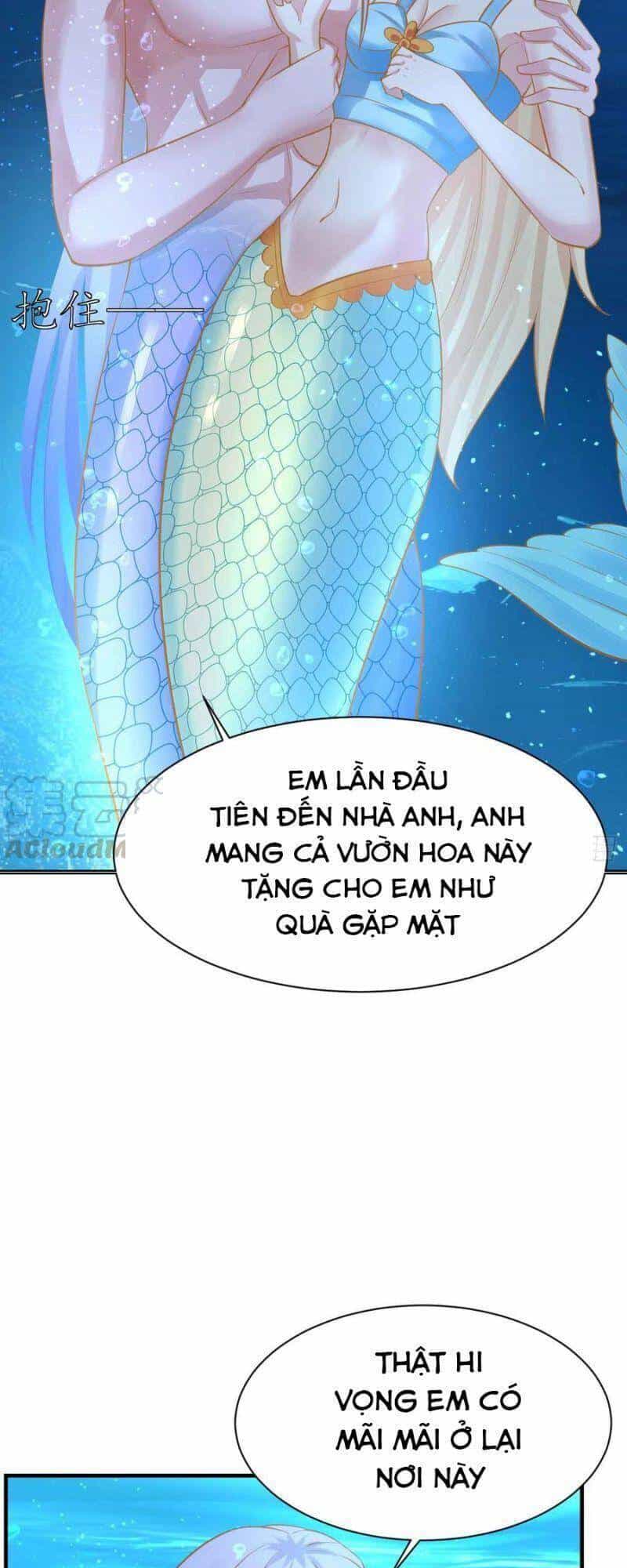 Nhân Ngư Học Trưởng, Đừng Ôm Ta! - Chương 85 - ảnh 38