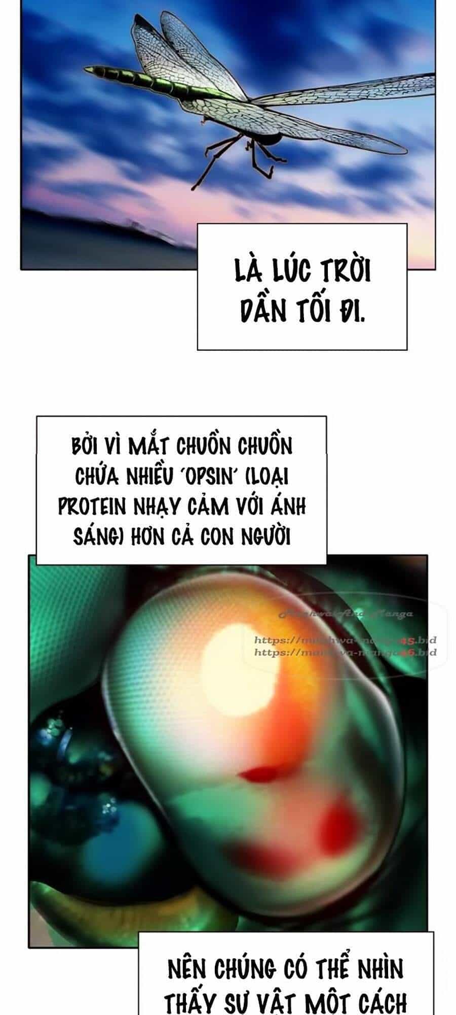 Nhân Trùng Đại Chiến - Chương 34 - ảnh 109