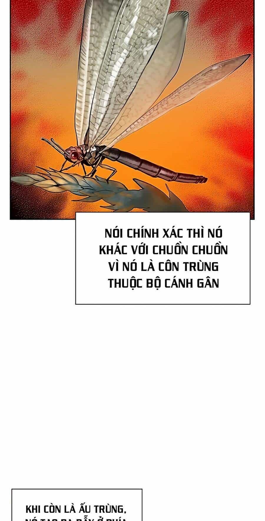 Nhân Trùng Đại Chiến - Chương 41 - ảnh 77