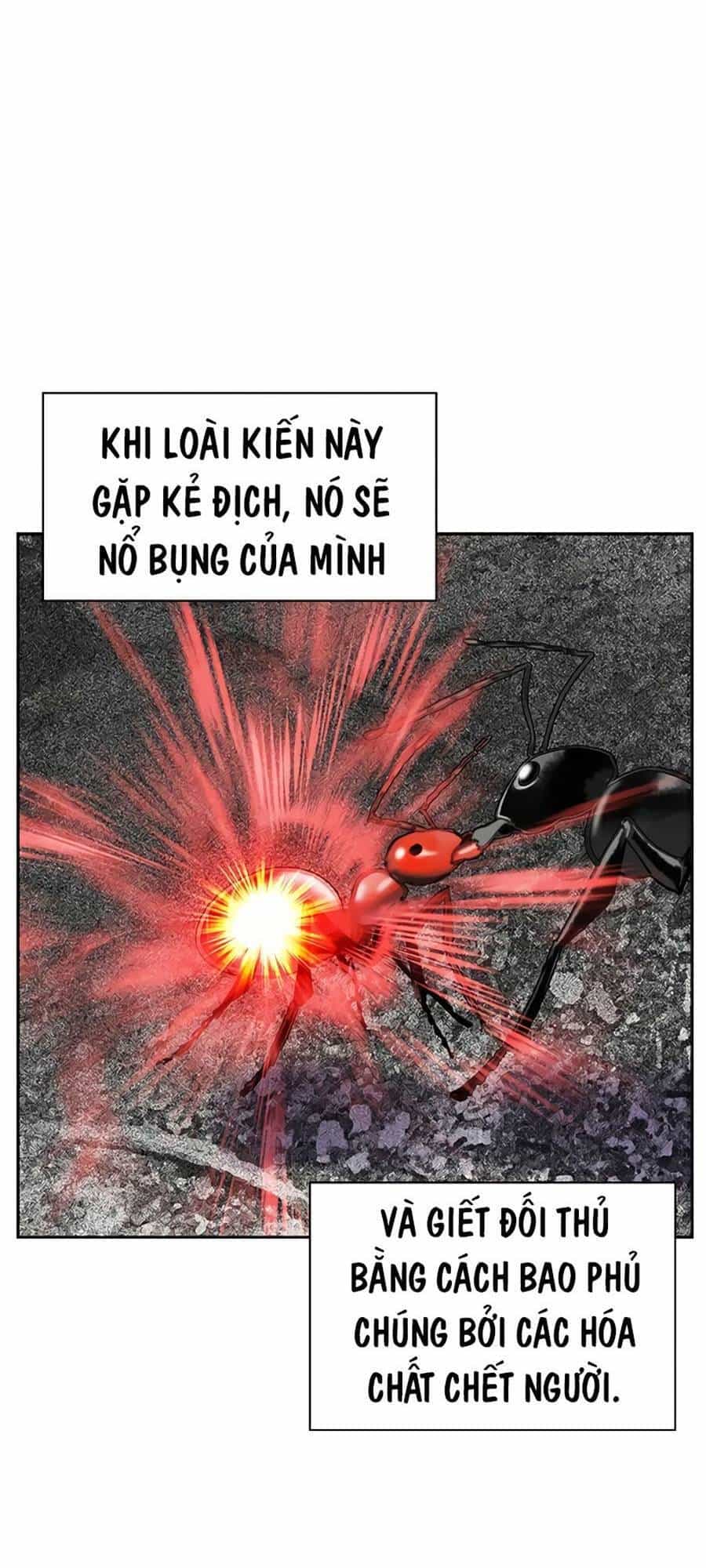 Nhân Trùng Đại Chiến - Chương 56 - ảnh 28
