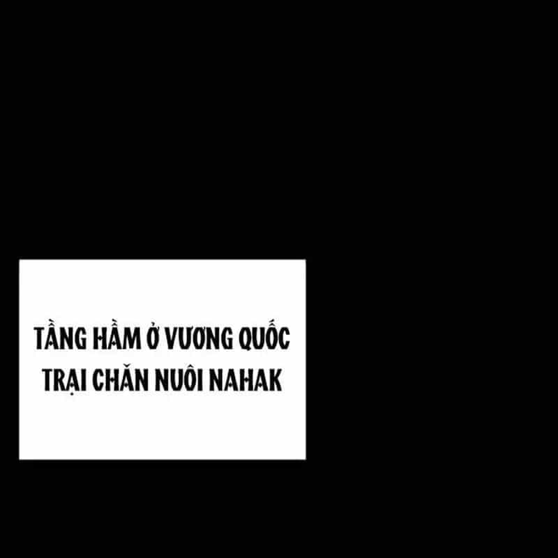 Nhân Vật Chính Ẩn Giấu Sức Mạnh - Chương 51 - ảnh 233