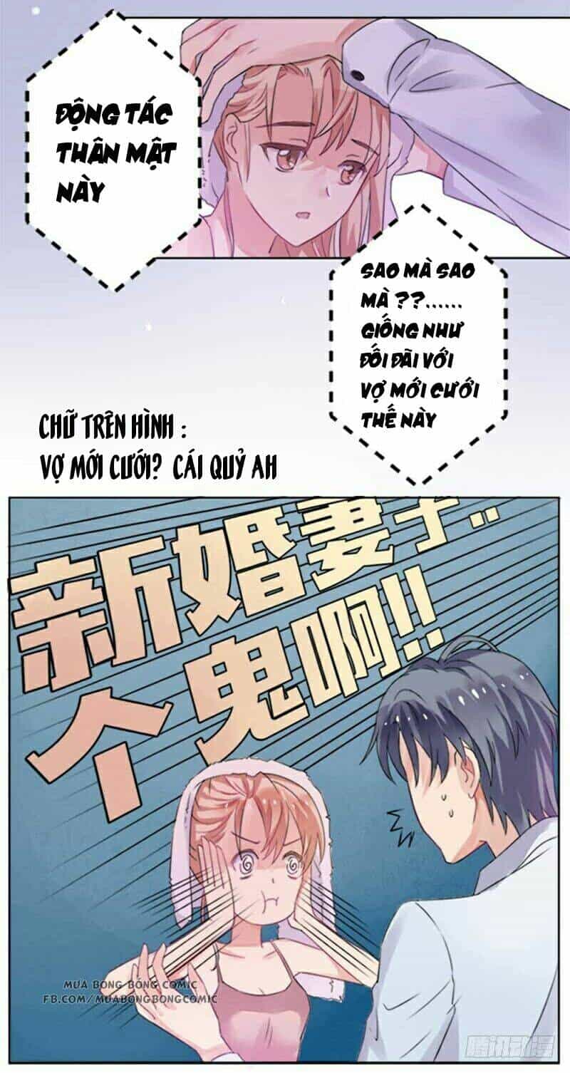 Nhập Cốt Noãn Hôn - Mật Sủng Tiểu Kiều Thê - Chương 2 - ảnh 9