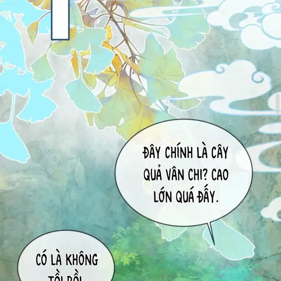 Nhập Hải - Chương 15 - ảnh 19