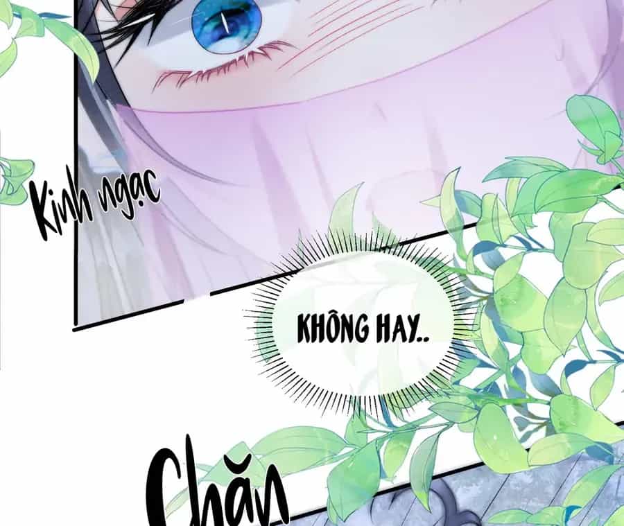 Nhập Hải - Chương 21 - ảnh 6