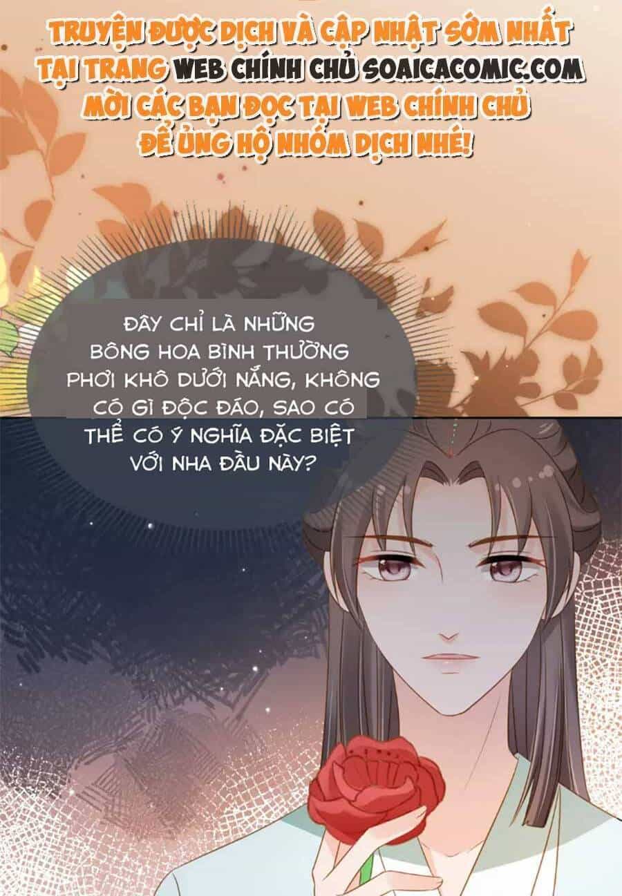 Nhặt Được Bảo Bối Manh Manh - Chương 104 - ảnh 12