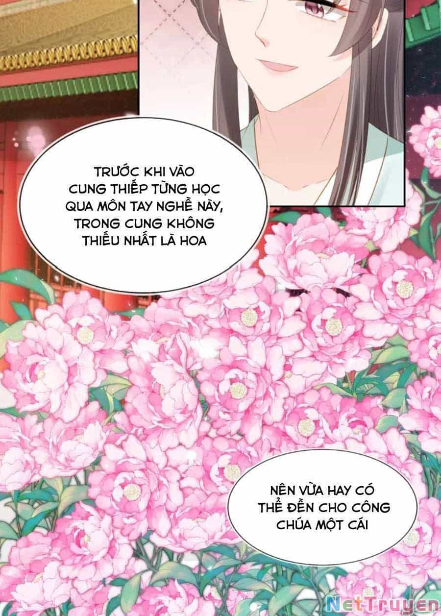 Nhặt Được Bảo Bối Manh Manh - Chương 106 - ảnh 11