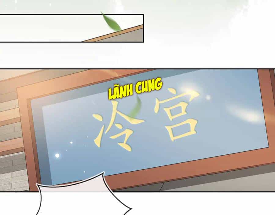 Nhặt Được Bảo Bối Manh Manh - Chương 3 - ảnh 66