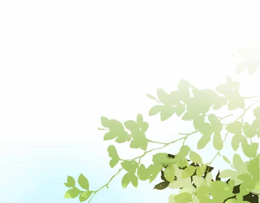 Nhặt Được Bảo Bối Manh Manh - Chương 4 - ảnh 7